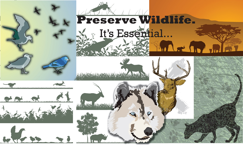 preserve wildlife